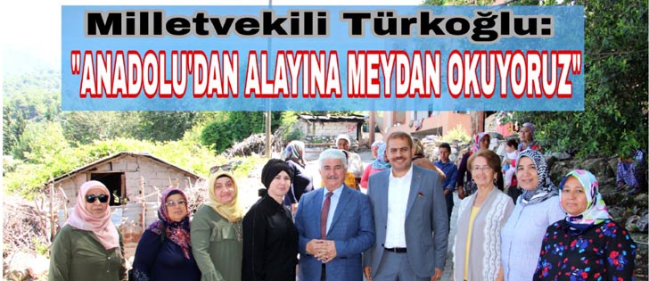 Türkoğlu: Anadoludan Alayına Meydan Okuyoruz