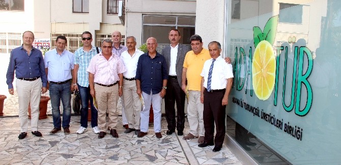 Ulusal Turunçgil Konseyi Adana'da Toplandı