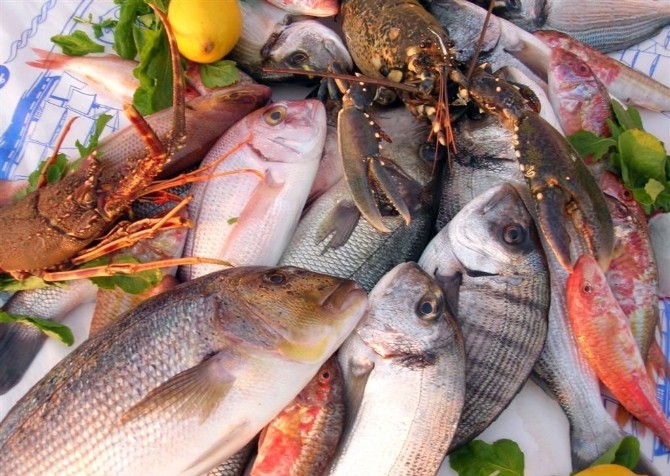 Balık Üretiminde Bilinçsiz İlaç Kullanımı Halk Sağlığını Tehdit Ediyor