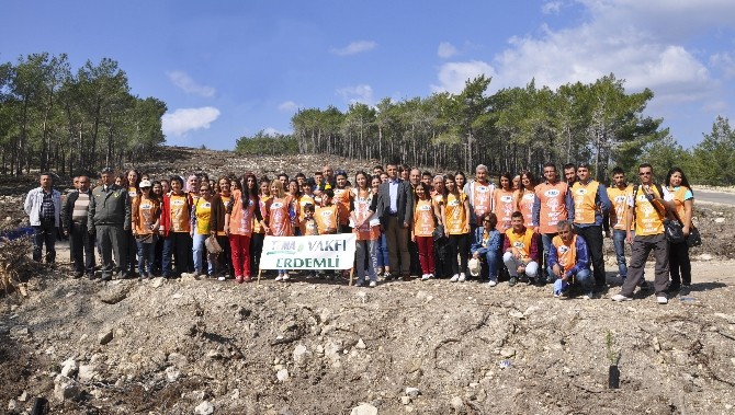 Geleceğimiz Yeşil Olsun! Orman Gönüllülerinin Fidan Ekme Fotoğrafları
