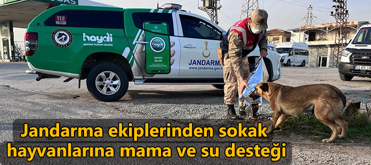 Jandarma ekiplerinden sokak hayvanlarına mama ve su desteği