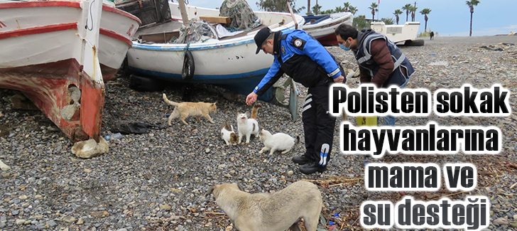 Polisten sokak hayvanlarına mama ve su desteği