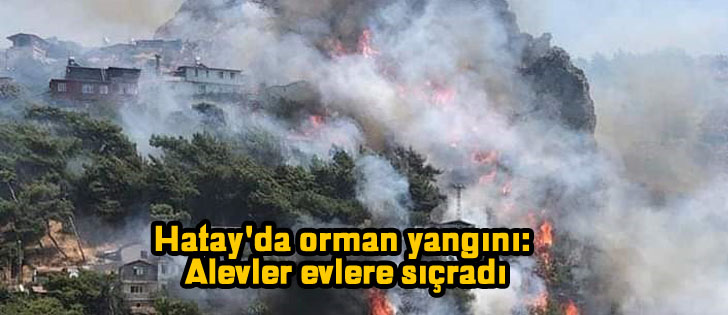 Hatay'da orman yangını: Alevler evlere sıçradı