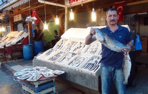 Mersin'de Balıkçılar 15 Eylül'de 'Vira Bismillah' Diyecek