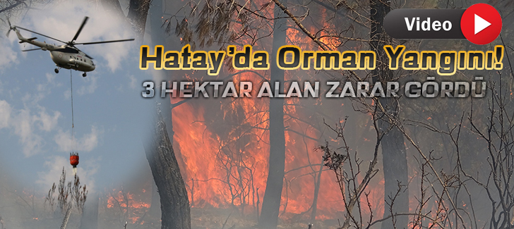 Hatay'da orman yangını: 3 hektar alan zarar gördü