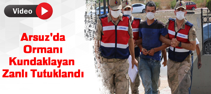 Arsuz'da ormanı kundaklayan zanlı tutuklandı
