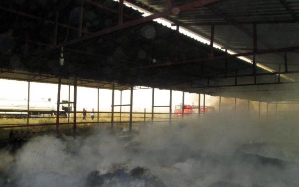 Adana'da Anız Yangını Çiftliğe Sıçradı