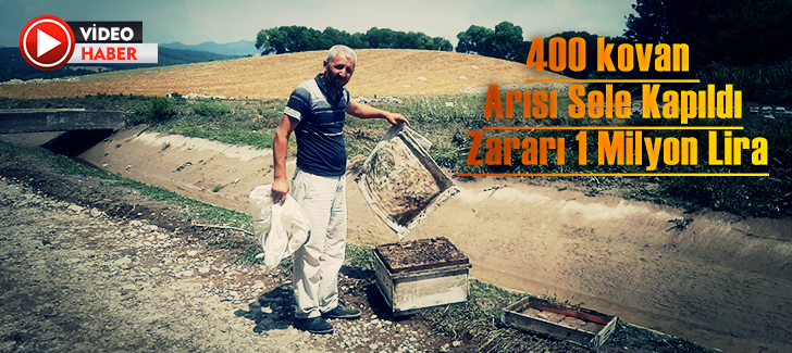 400 kovan arısı sele kapıldı, zararı 1 milyon lira