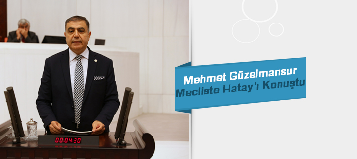 Mehmet Güzelmansur Mecliste Hatayı Konuştu