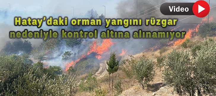 Hataydaki orman yangını rüzgar nedeniyle kontrol altına alınamıyor