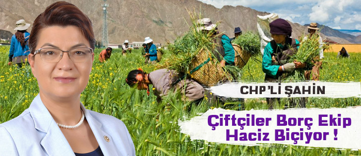 CHPli Şahin: Çiftçiler Borç Ekip Haciz Biçiyor !