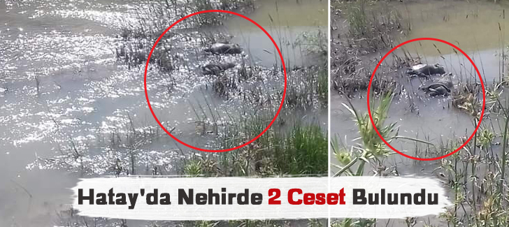 Hatay'da nehirde 2 ceset bulundu