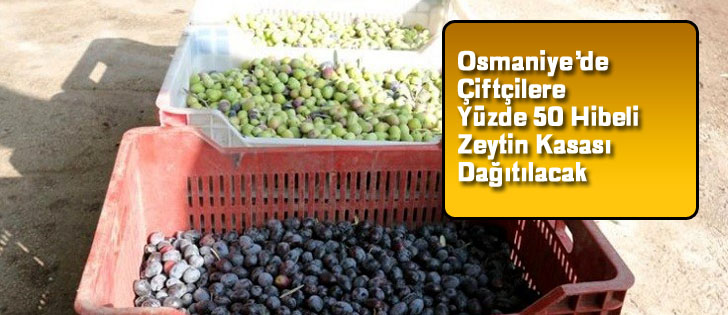 Osmaniyede çiftçilere yüzde 50 hibeli zeytin kasası dağıtılacak