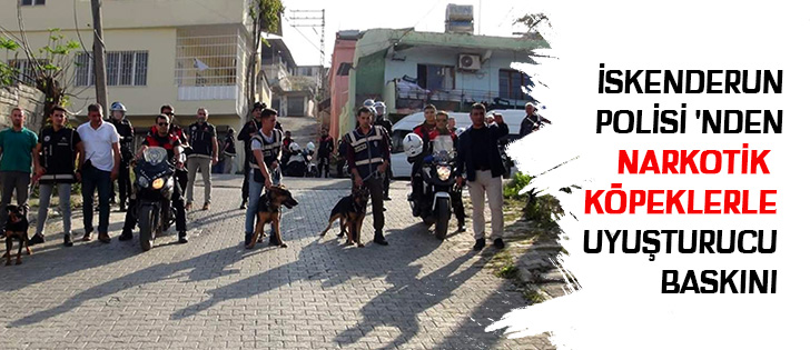 İskenderun Polisi'nden  Narkotik Köpeklerle Uyuşturucu Baskını