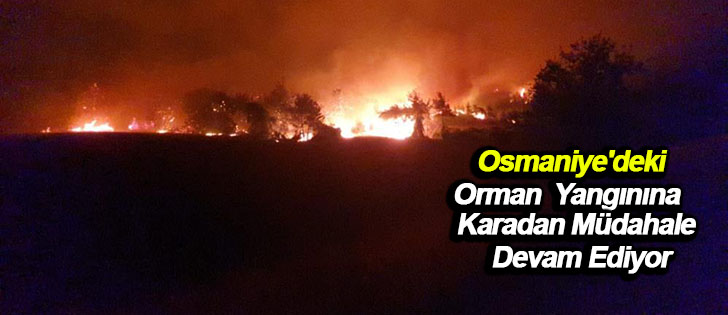 Osmaniye'deki orman yangınına karadan müdahale devam ediyor