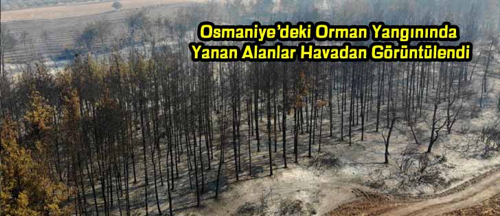 Osmaniyedeki Orman Yangınında Yanan Alanlar Havadan Görüntülendi