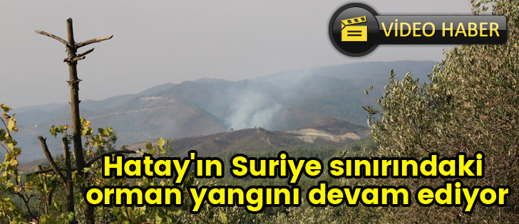 Hatay'ın Suriye sınırındaki orman yangını devam ediyor