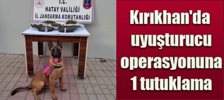 Kırıkhan'da uyuşturucu operasyonuna 1 tutuklama