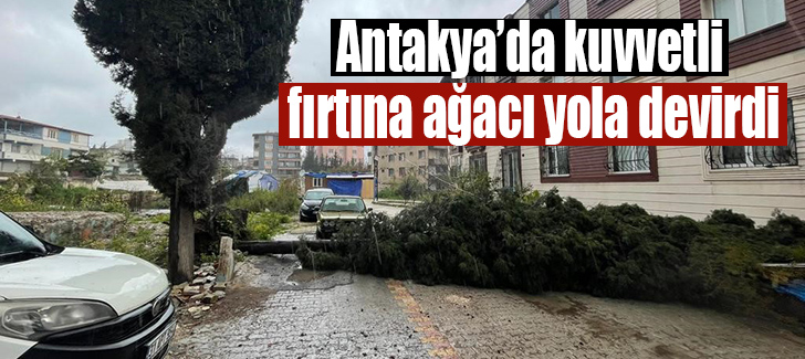 Antakya’da kuvvetli fırtına ağacı yola devirdi