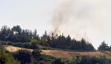 Osmaniyede orman yangını