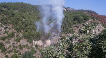 Payastaki orman yangınında 1 hektar alan zarar gördü