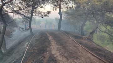 Kırıkhan'da orman yangını