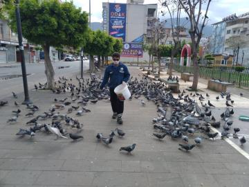 İskenderun Belediyesi Kuşları Bile Unutmuyor