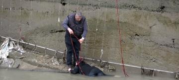 Asi Nehrine düşen kadını itfaiye kurtardı