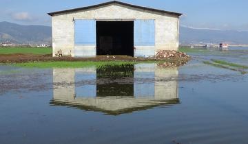 Amik Ovası'nda evler ve tarım arazileri sular altında kaldı