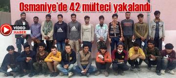 Osmaniyede 42 mülteci yakalandı