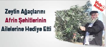 Zeytin ağaçlarını Afrin şehitlerinin ailelerine hediye etti