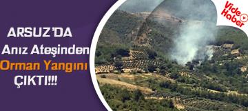 Arsuz'da anız ateşinden orman yangını çıktı