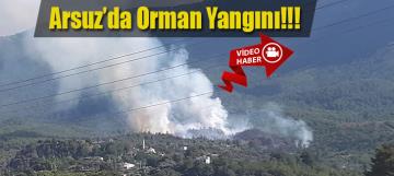 Arsuz'da Orman Yangını!!!